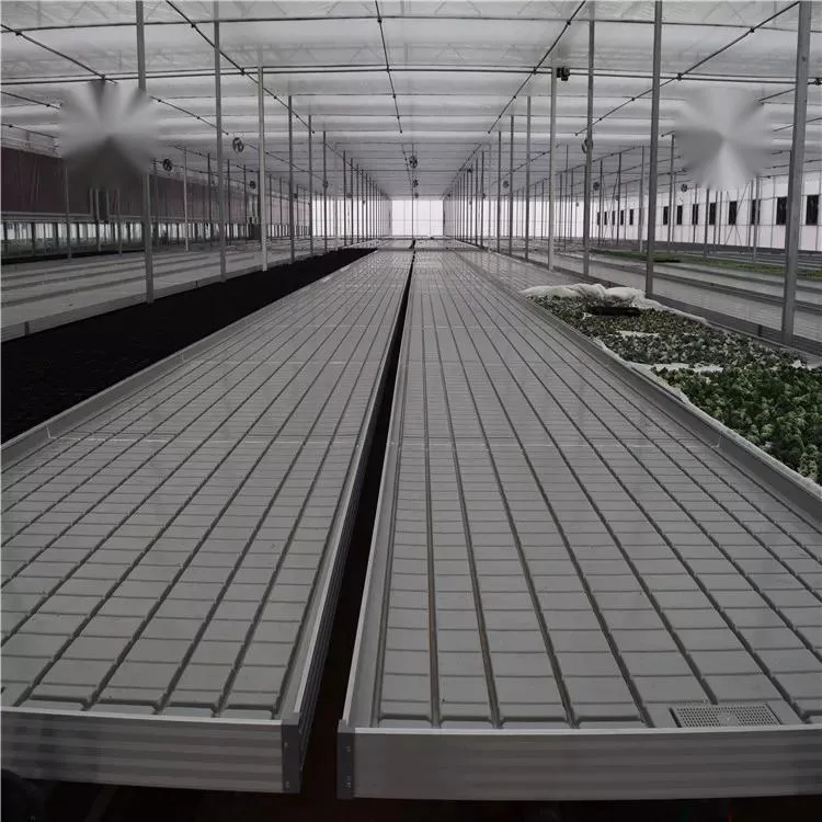 Good Price Large Plastic Sheet Glass Greenhouse Garden Nursery Rolling Bed Xinhe