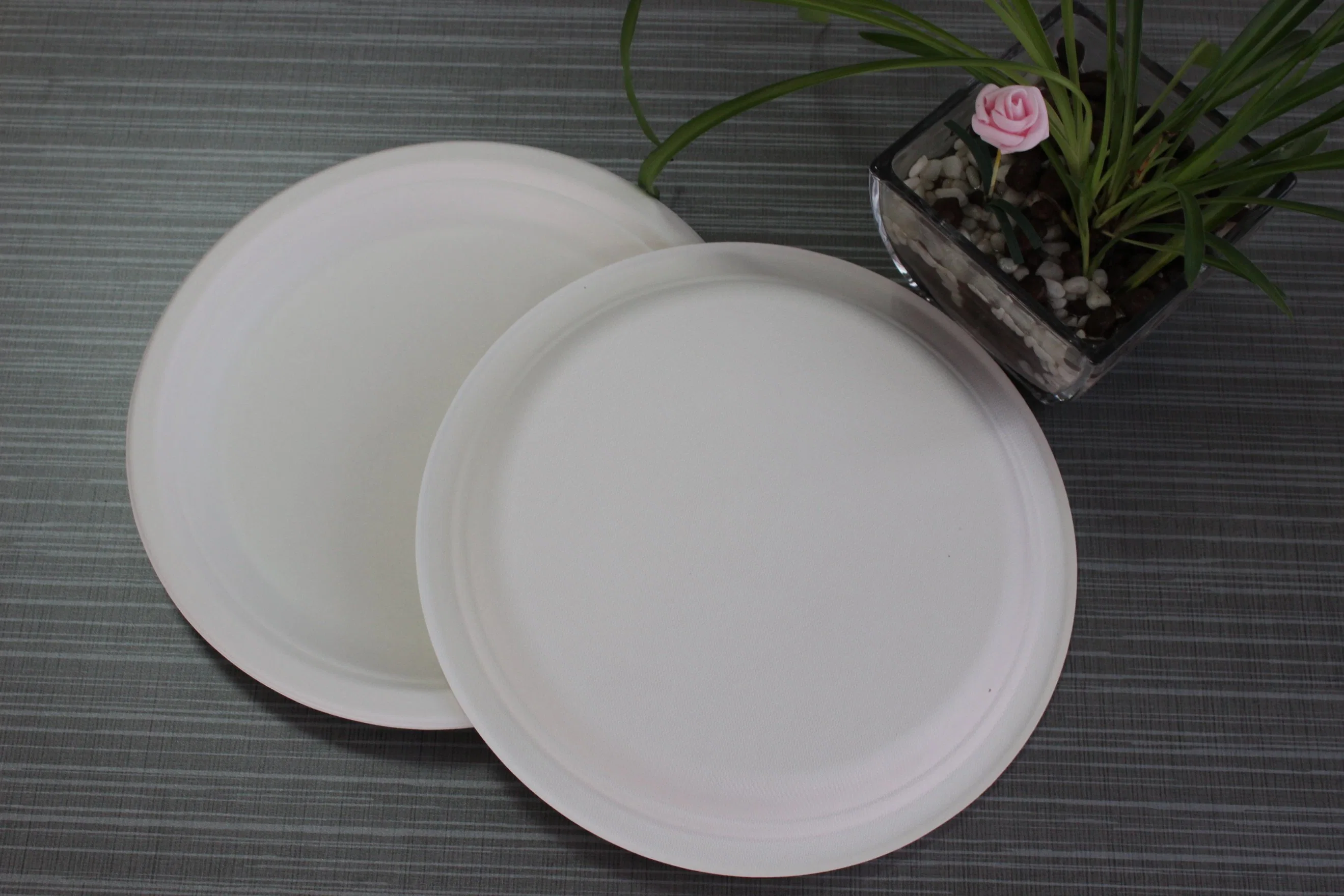 Free Sample High quality/High cost performance  Disposable Biodegradable Restaurant 8.75 Inch Round Plate