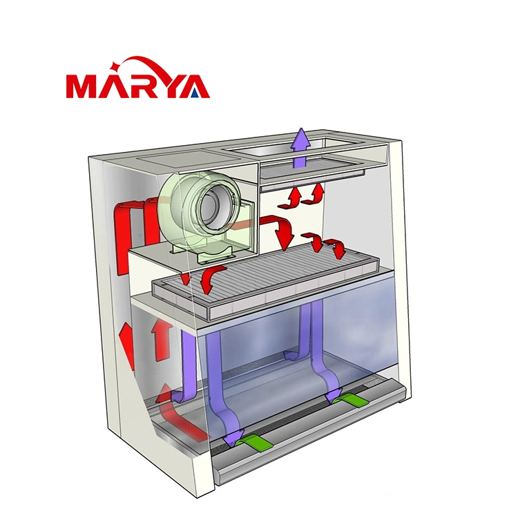 Marya Biological Safety Cabinet Lab Equipment