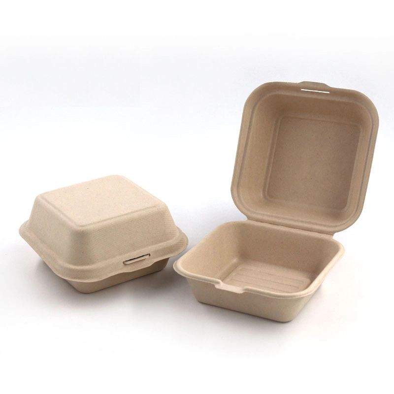 Biodegradable Burger Box Custom-Made Biodegradable Disposable Lunch Box, Takeaway Box