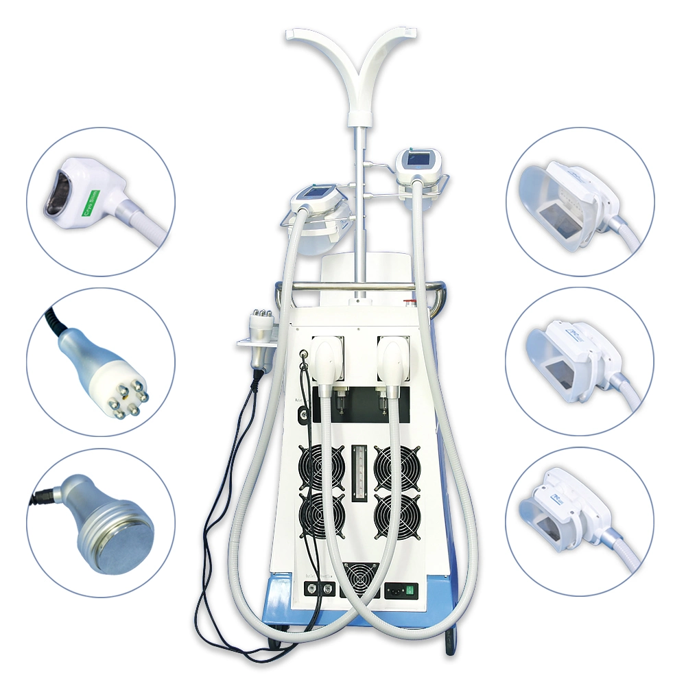 Multifunktionale Kryo-Fettgefriermaschine 6 Griffe Kryolipolyse Criolipolisis Cavitation RF Gewichtsverlust hautdicht