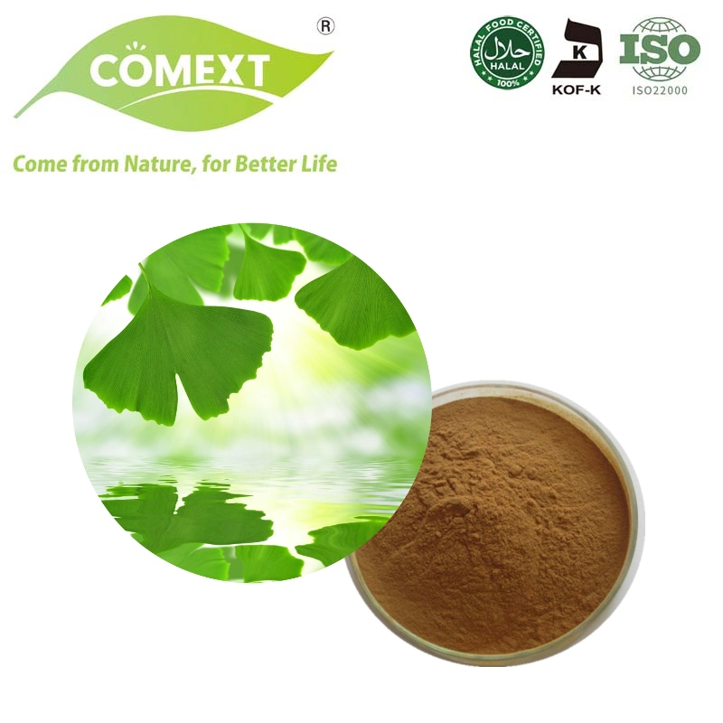 Comext 100% planta de polvo Natural Extracto de Ginkgo Biloba con fábrica Precio