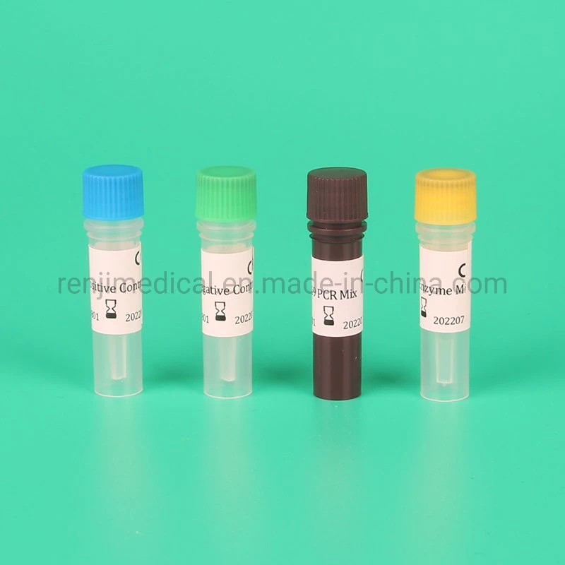 Wholesale/Supplier Medical Rna Extraction Real Time PCR Test Kit