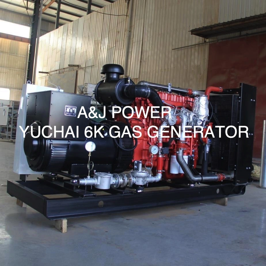 800kw 1000kVA Natural Gas CNG LNG Electric Power Generator Set