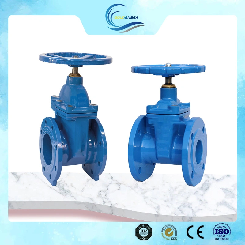 Manufacturers Gate Valve Pn16 Carbon Steel Casting and Body Price