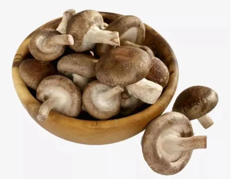 Heißer Verkauf Gewürzte Shiitake Pilze Konserven Essen Bambus Schießt Dosen Produkt Aus Pilzporcini