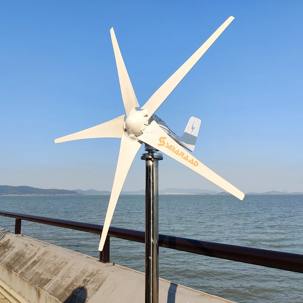 Smaraad 1000W 12V 24V Wind Power Generator Horizontal Wind Turbines Hot Sale 5 Blades