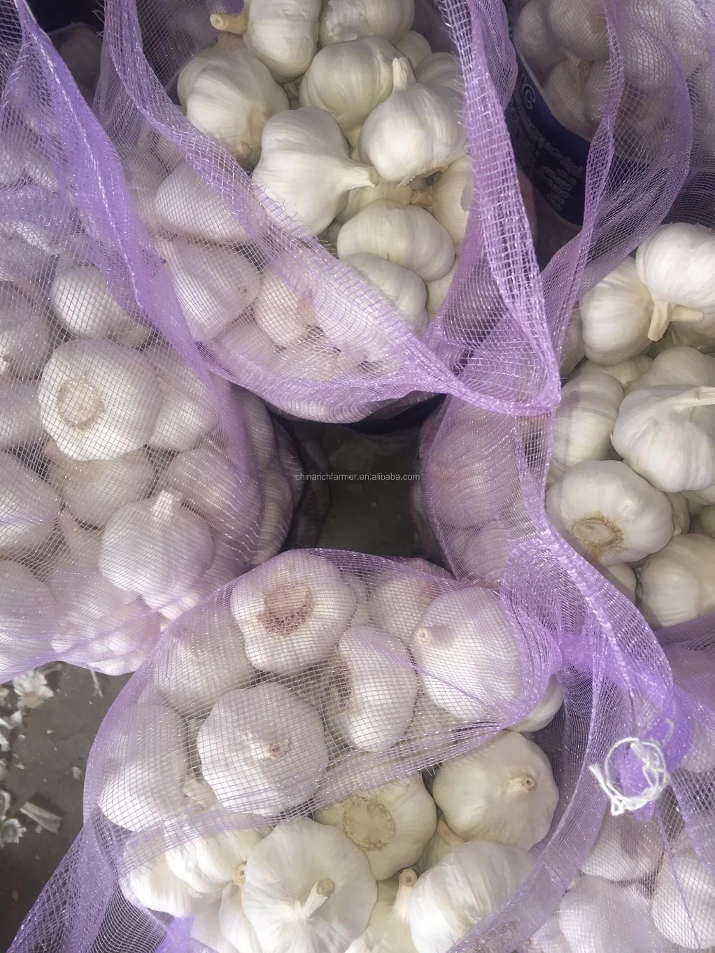 Fresh Garlic High quality/High cost performance Egyptian Purple Red Garlic Pure White Garlic 5.0 Cm