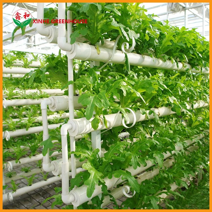 Cheap Price Food Grade PVC Customized Xinhe Nude Systems Greenhouse Hydroponic System