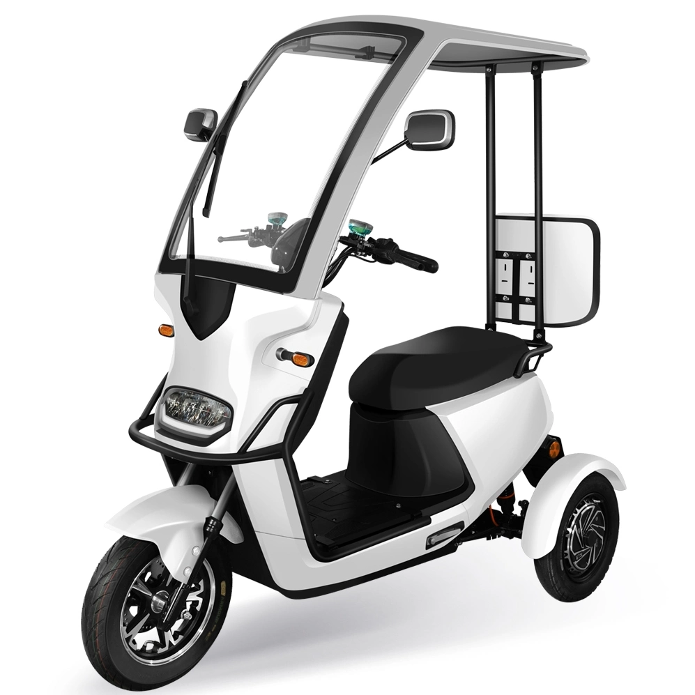 China's Best-Selling Adult Goods Electric Trike 48V60V Motorcycle