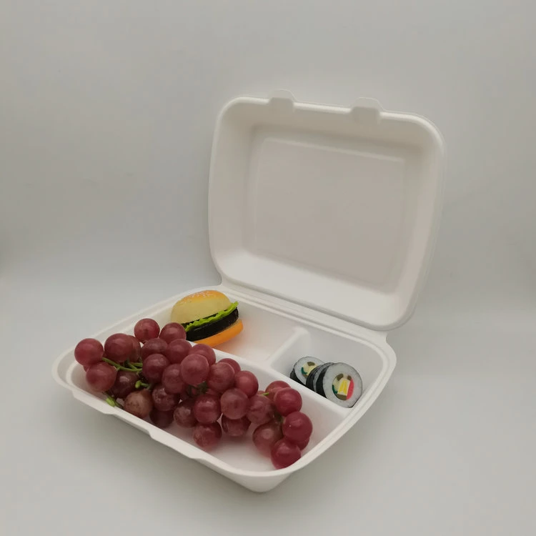 Ok-Compost 8 Inch Biodegradable Sugarcane Bagasse Fiber Paper Clamshell Takeaway Food Packaging Box Container