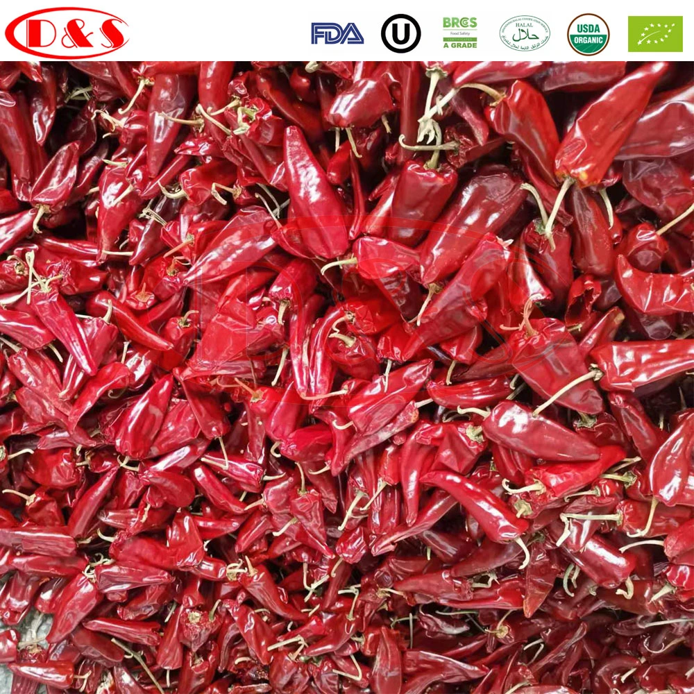 Manufacturer New Crop Hot Chili Pods Dehydrated Beijing Red Chili Dried Yidu Chili Guajillo