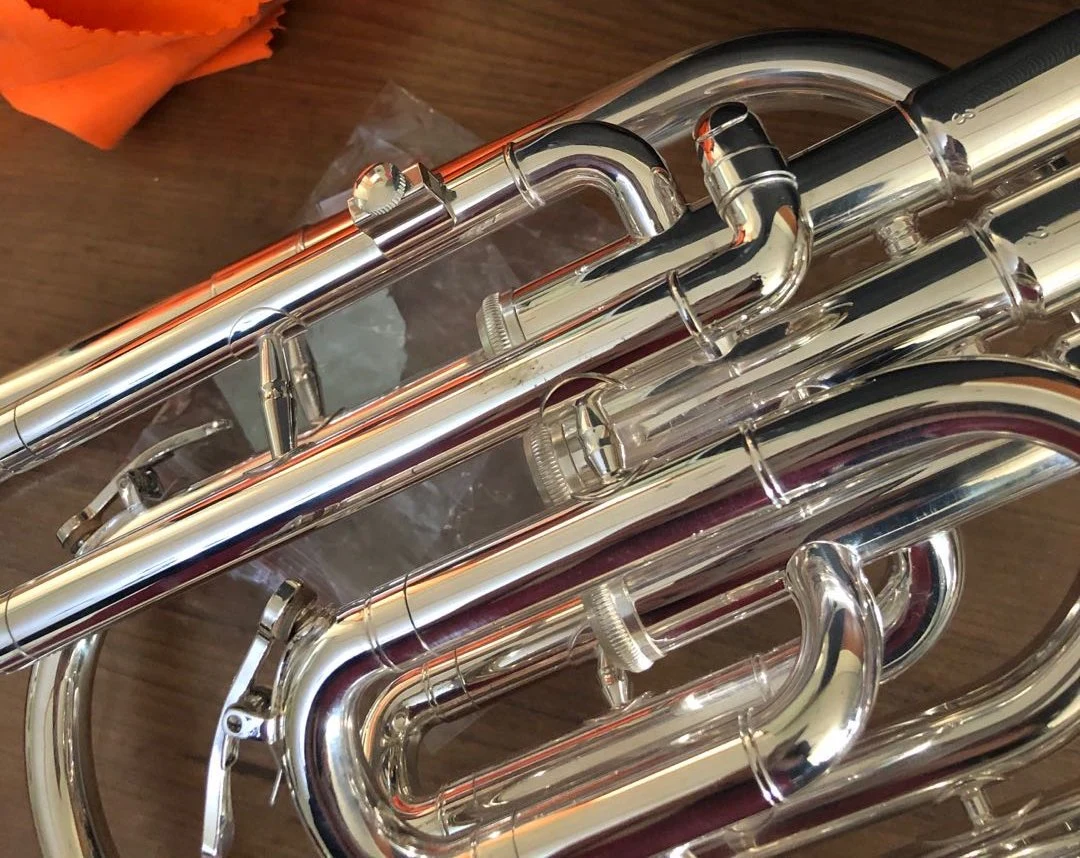 Horn Alto / Tenor / Silver Plated (AH30B-S)