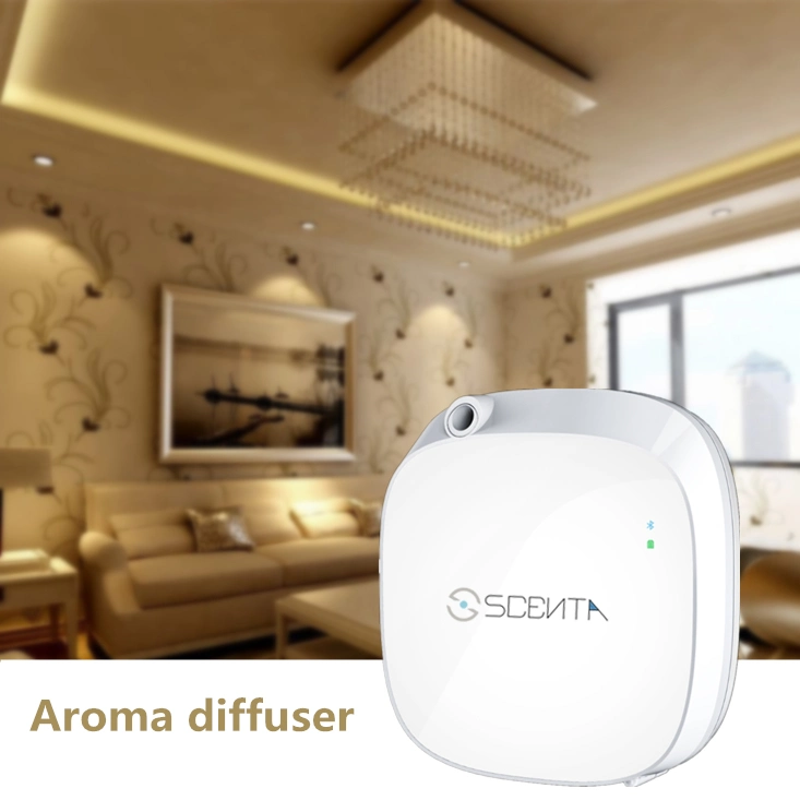 Scenta Toilet Battery Operated Wall Mounted Fragrance Oil Diffuser Air Freshener Aroma Diffuser Factory