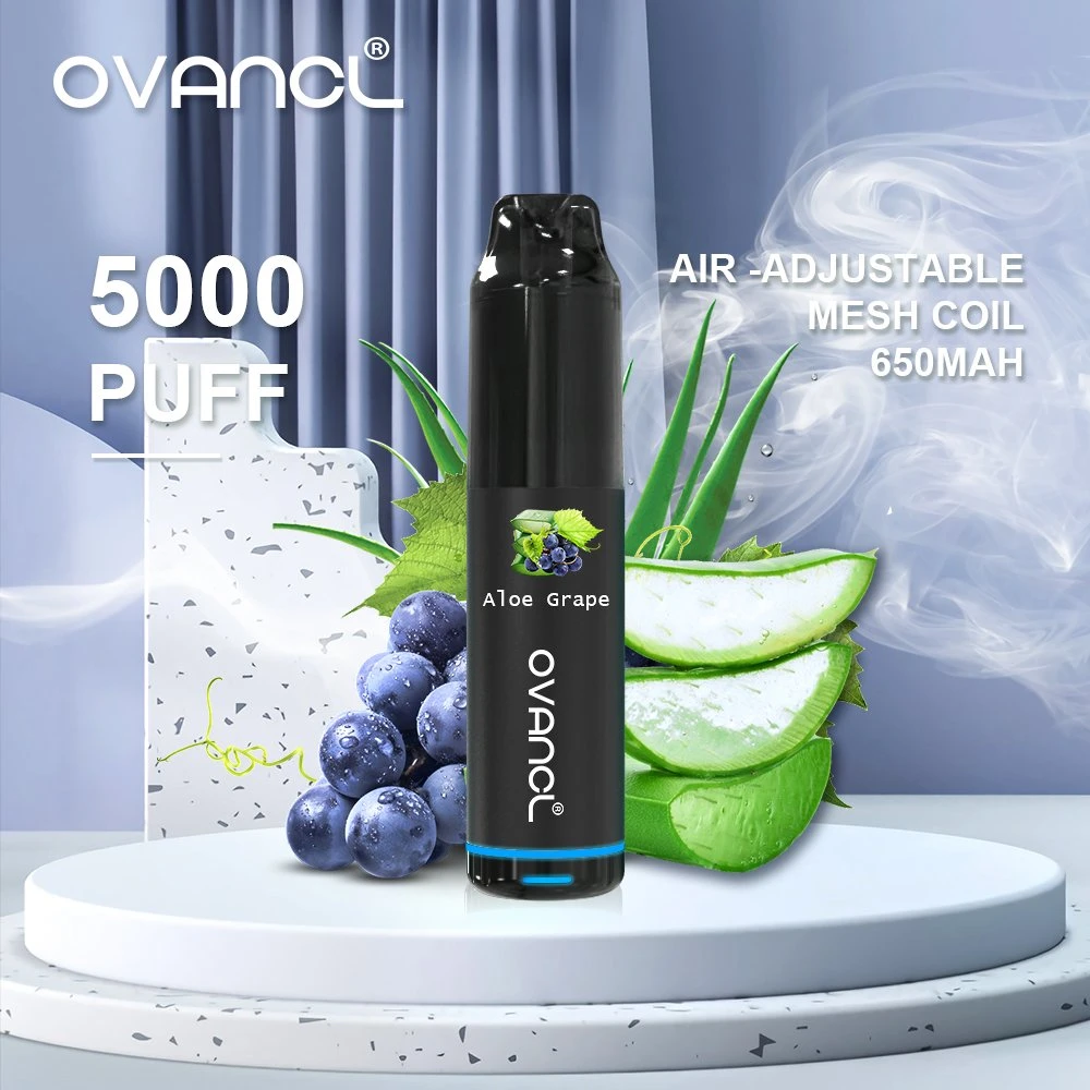 2022 Venta caliente Vape diseño original de fábrica de pluma 5000 inhalaciones de malla recargable la bobina E cigarrillo desechable ajustable de aire cigarrillo electrónico EGO CE4