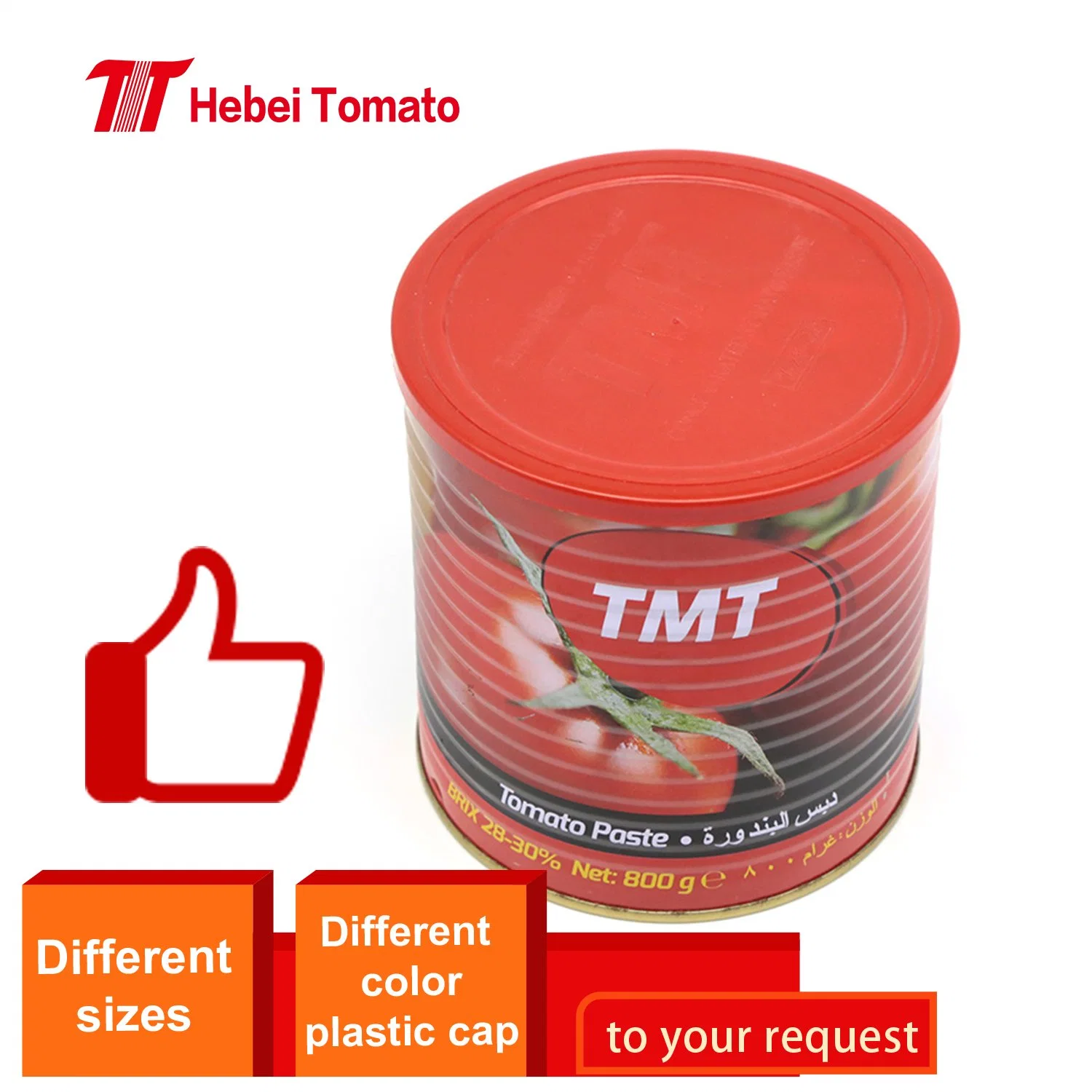 Best Price Canned Tomato Paste From Chinese Manufacturer with Best Price