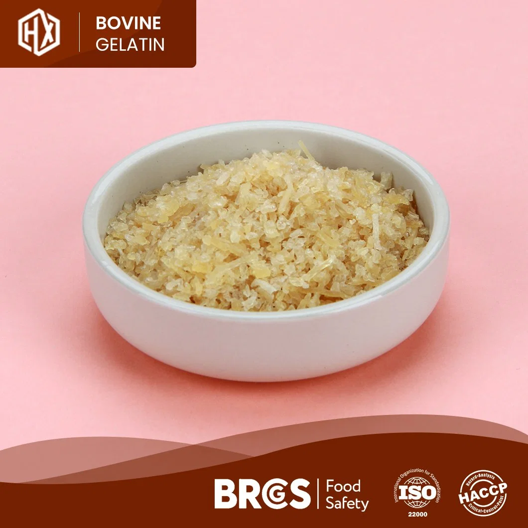 Haoxiang High-Quality Food Bovine Skin Gelatin 150 Bloom High-Purity Powdered Bovine Skin Gelatin China Supplier Sample Available Medical Bovine Skin Gelatin