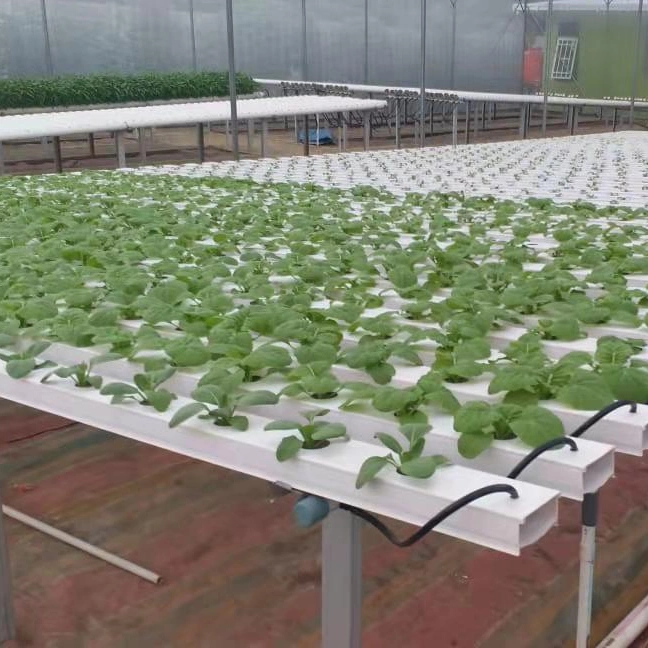 Hydroponic Growing System PVC Nft Channel PVC Pipe Supplier for Hydroponics