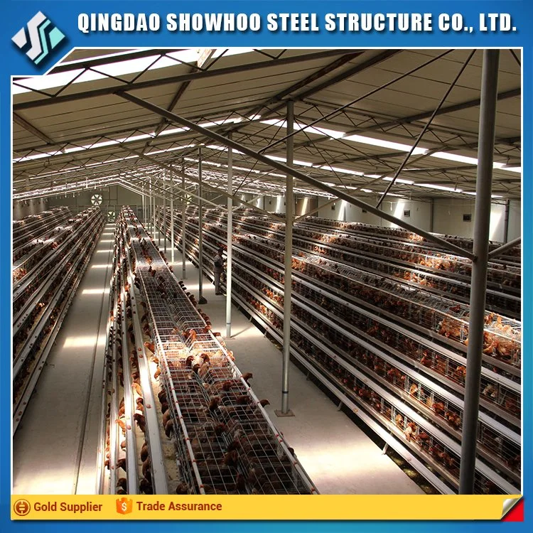 Durable and Cheap Chicken Farm Plastic with Factory Design