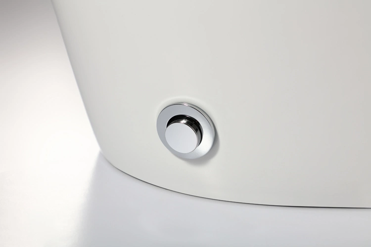 Bidet Bowl for Norml Toilet