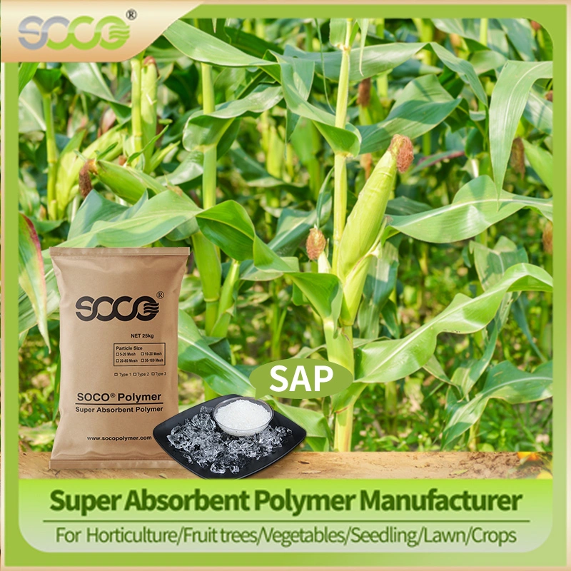 Safety and Non-Toxic Potassium Polyacrylate Agricultural Seed Coating Polymer Eco-Friendly to Increase Production