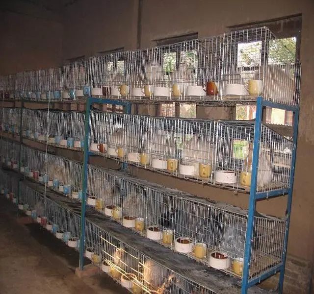 High-Quality H Type Industrial Breeding Commercial Farm Rabbit Cage