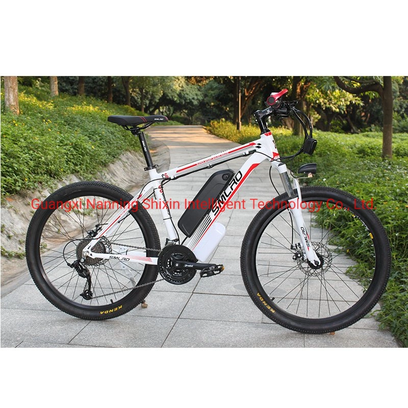 Electric Bicycle Mountain 21 Speed 1.95 Tire Eletrica 13ah Battery