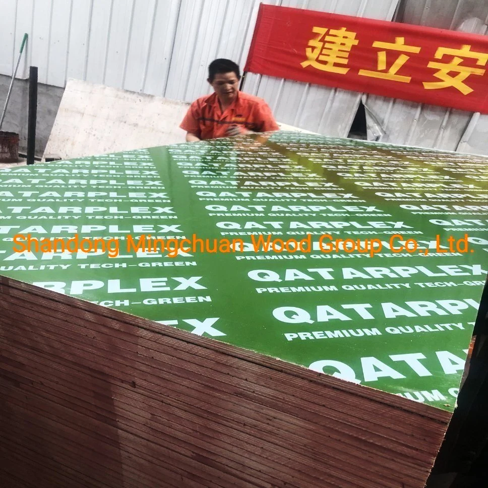 18mm Plastic PP Film Faced Plywood PVC Board Building Materials Combi Plywood