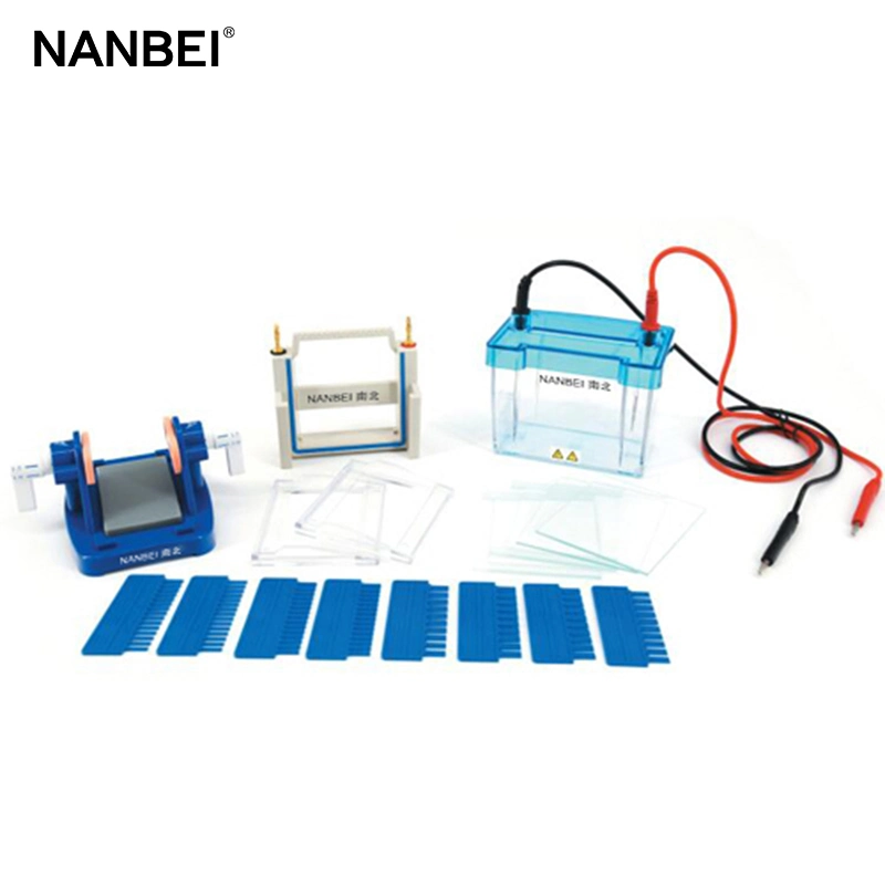 Nanbei Dycz-24DN Electrophoresis Cell for DNA Test