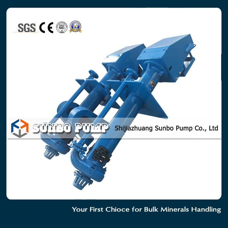 China 100RV-Sp Heavy Duty Vertical Slurry Pumps