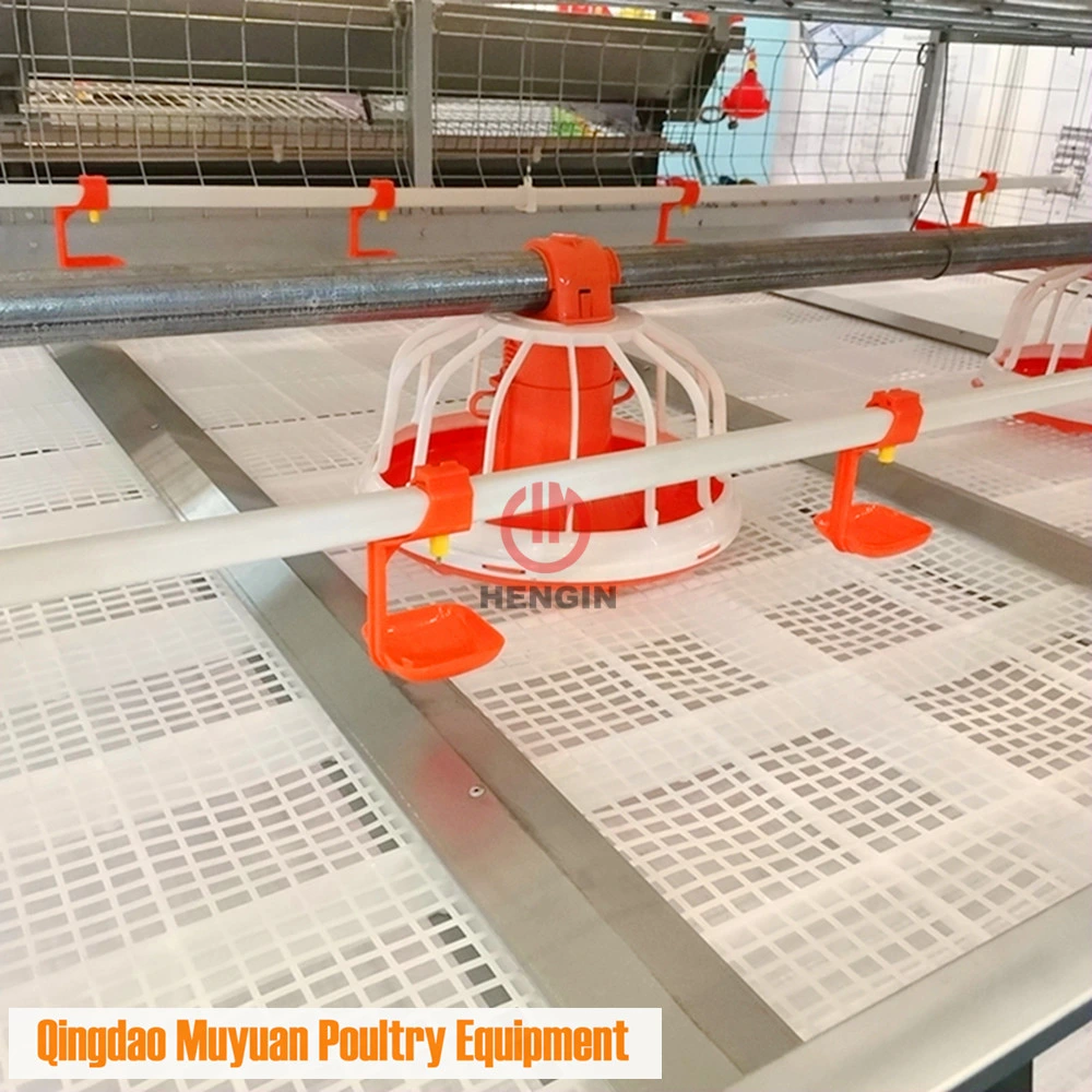 Châssis en H de la cage de poulets de chair de poulet automatique/Coop pour la Thaïlande ferme avicole