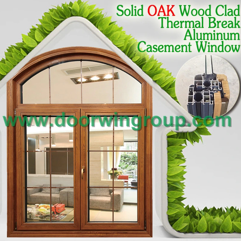 Window with German Original Brand Roto Handle for Smooth Open-Close, American Style Wood Aluminum Casement Window