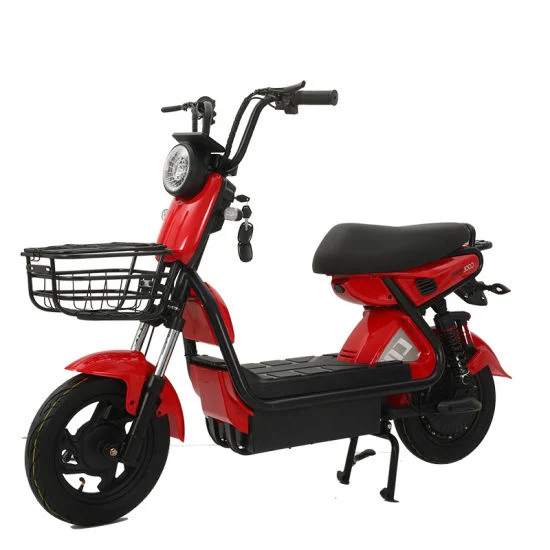 China Electric Bicycle 350W Electr Bike 48V Electric Scooters and Bikes