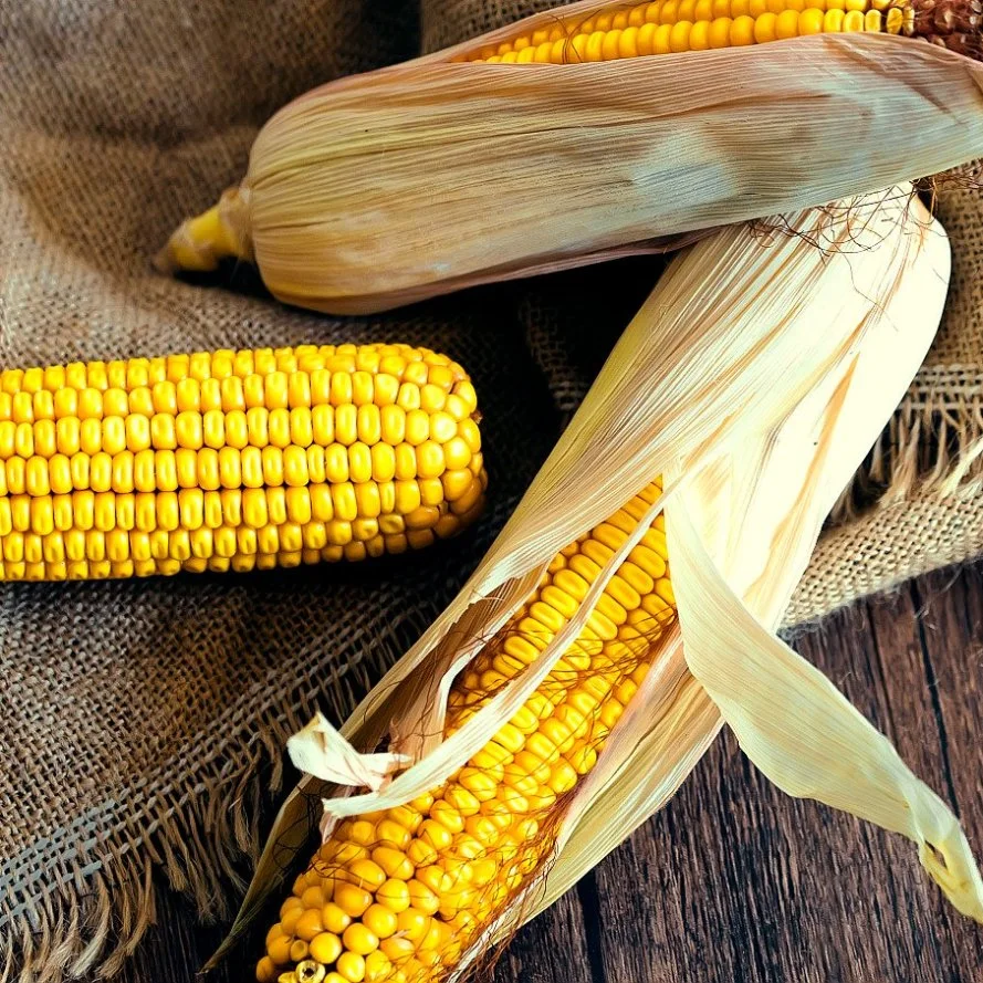 Rendimiento de alta calidad/alto costo al por mayor puro polvo vegetal maíz fluor