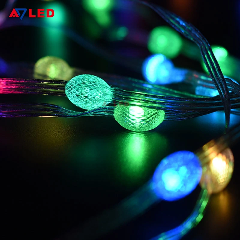 33LEDs/66LEDs/99LEDs DC5V 10W IP67 IC RGB LED Christma Light String