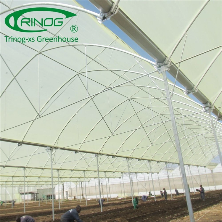 2020 Original Factory Multi-span Film Greenhouse