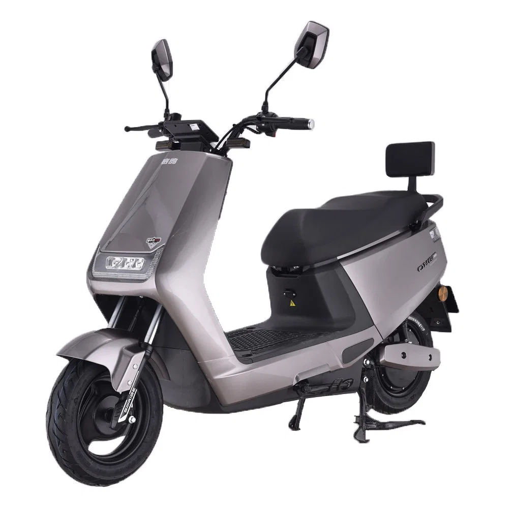 Saige EEC India Market N95 Carbon Steel Frame; Rear Disk Lead Acid Battery 60/72V -20-32ah 1000W30h Motor Electric 250cc Dirt Bike