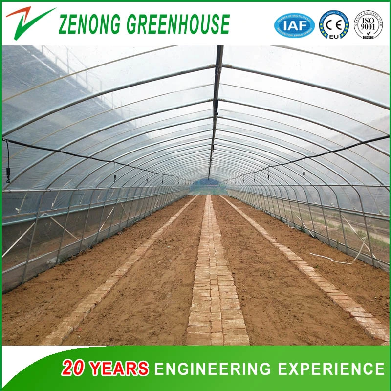 Garden Used Film Covered Tents Greenhouse for Seed Nursery/Planting Vegetables/Flowers