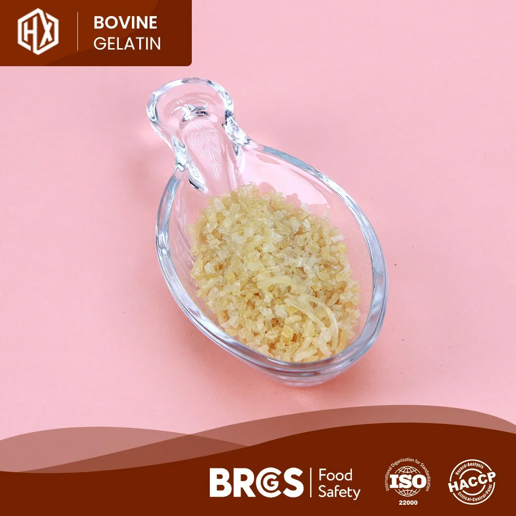 Haoxiang 260 Bloom Food Grade gelatina em pó de pele bovina High Quality Pharma bovino gelatina de pele China fabricante Pronto para enviar Gelatina hidrolisada de pele bovina