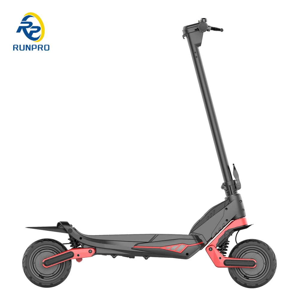 Riding Scooter for Mobility Electric Scooters 500W*2 Dual Motor Lithium Battery 48V 16ah