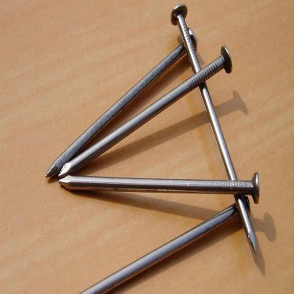 Polished and Galvanized Common Nails Different Packing and Widely Usage