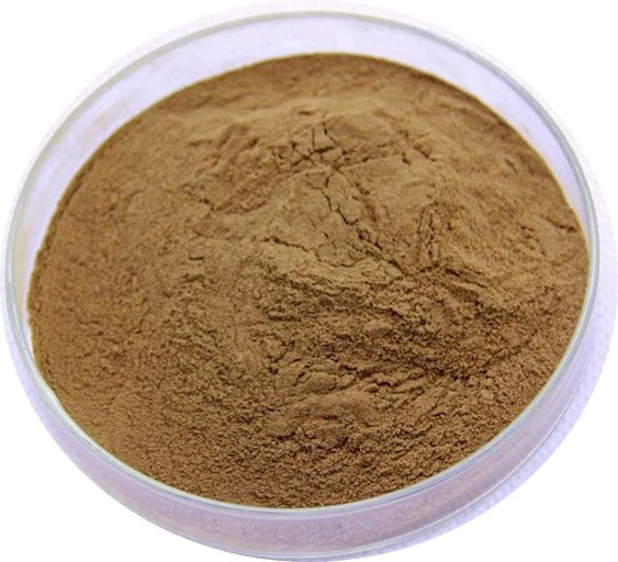 Allium Odorum Extract Powder 10: 1 Leek Seed P. E.