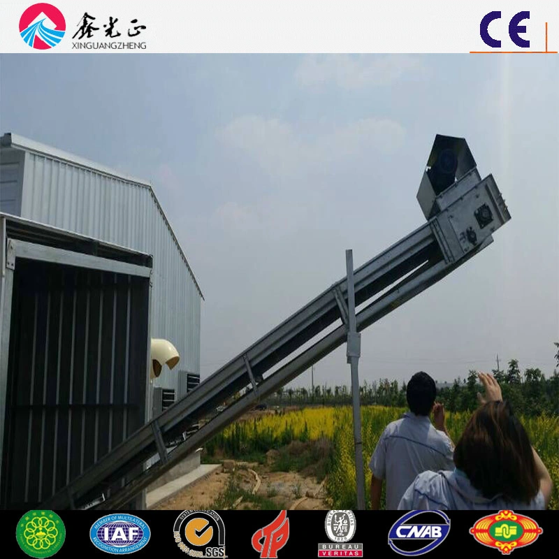 Automatic Cage Rising Broiler Layer Chicken Farm (Q345B/Q235B)