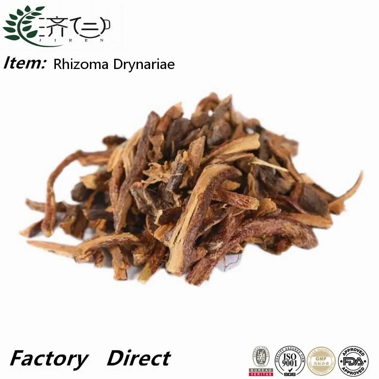 Chinesische Kräuter Gu Sui BU pflanzliche Produkte Rhizoma Drynariae für Medizin