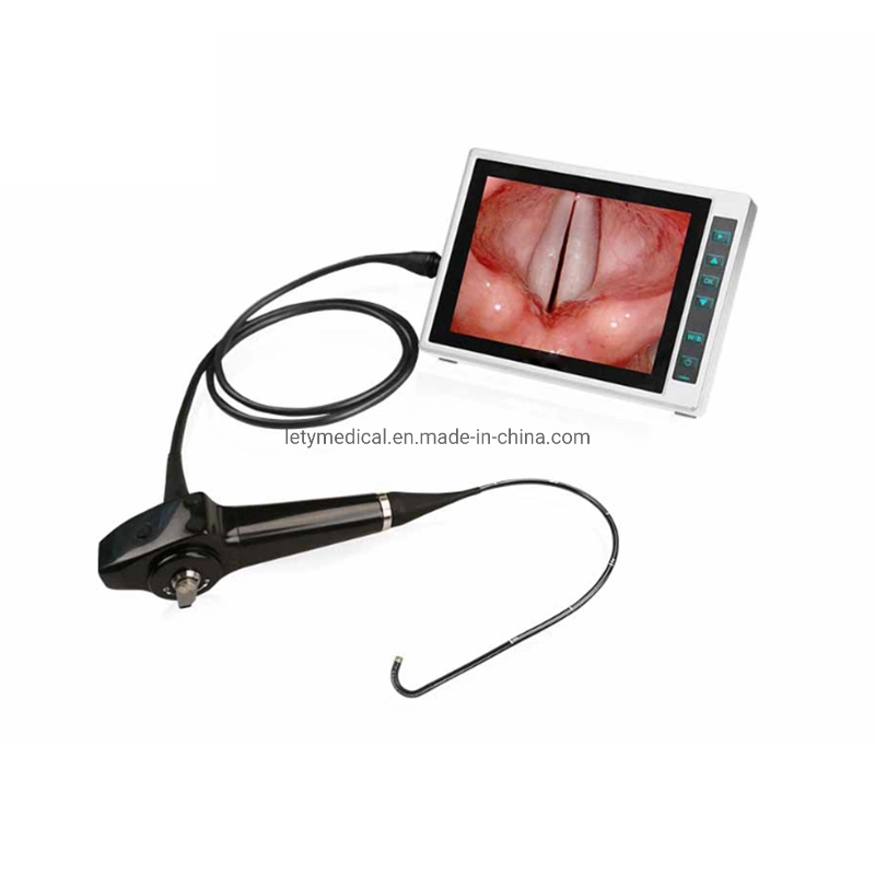 Factory 2.8mm Medical Flexible Video Rhinolaryngoscope Ent Endoscope