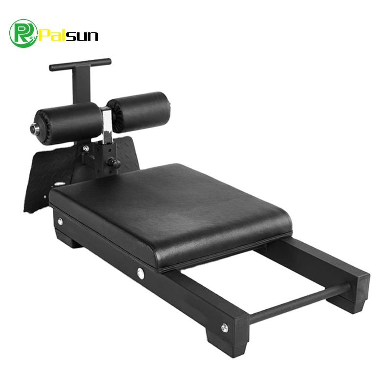 Ejercicio multifuncional Comercial silla romana espalda músculo abdominal Entrenadores Máquina de fitness