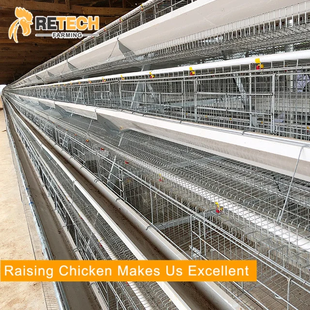 New Design 4 Tiers Manual Chicken Battery Layer Cage for Poultry Farms