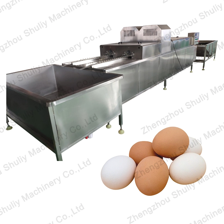 Máquina de limpieza y clasificación comercial de huevos de pollo para venta en caliente