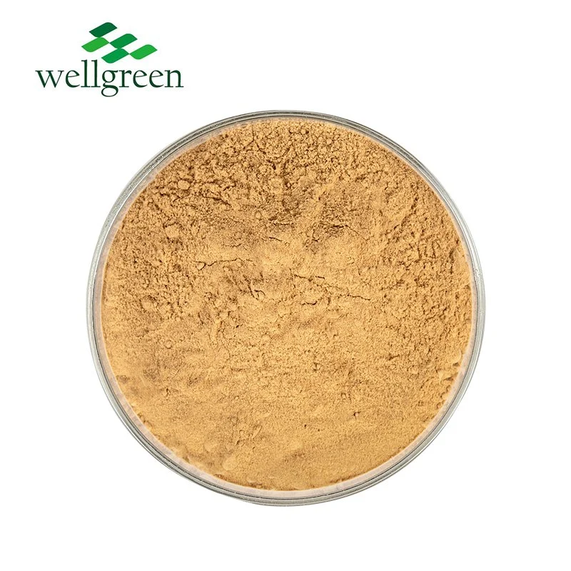 Root Kavalactones 99% Powder Kavalactone 70% Wholesale/Supplier Pure Natural Herbal 70 Kava Extract