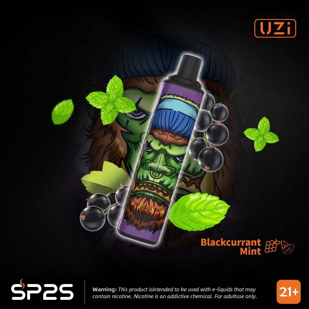 Sp2s PC Series 10ml Ejuice 5000 Big Puff Smoke Vape Ajustable